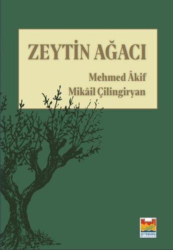 Zeytinburnu Bel.Kültür Yay. Zeytin Ağacı - Zeytinburnu Bel.Kültür Yay. - Image 1