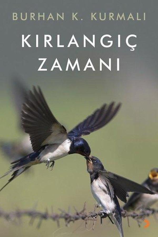 Kırlangıç Zamanı - Cinius Yayınevi - Image 1