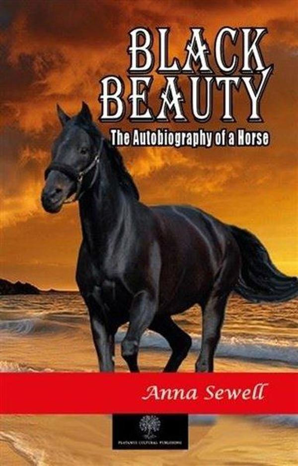 Black Beauty - Platanus Publishing - Image 1