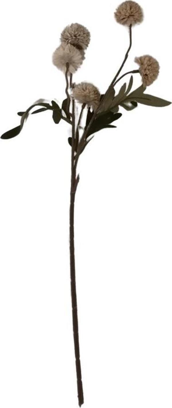 T.Concept Yapay Yıldız Çiçeği Tek Dal Vizon 50 cm - Image 1