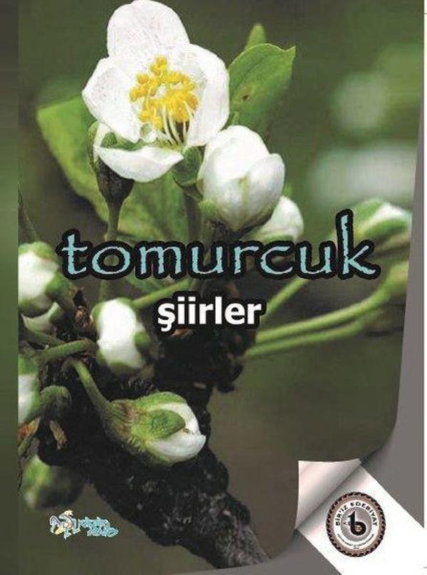 Tomurcuk - Şiirler - Kültür Ajans Tanıtım ve Organizasyo - Image 1