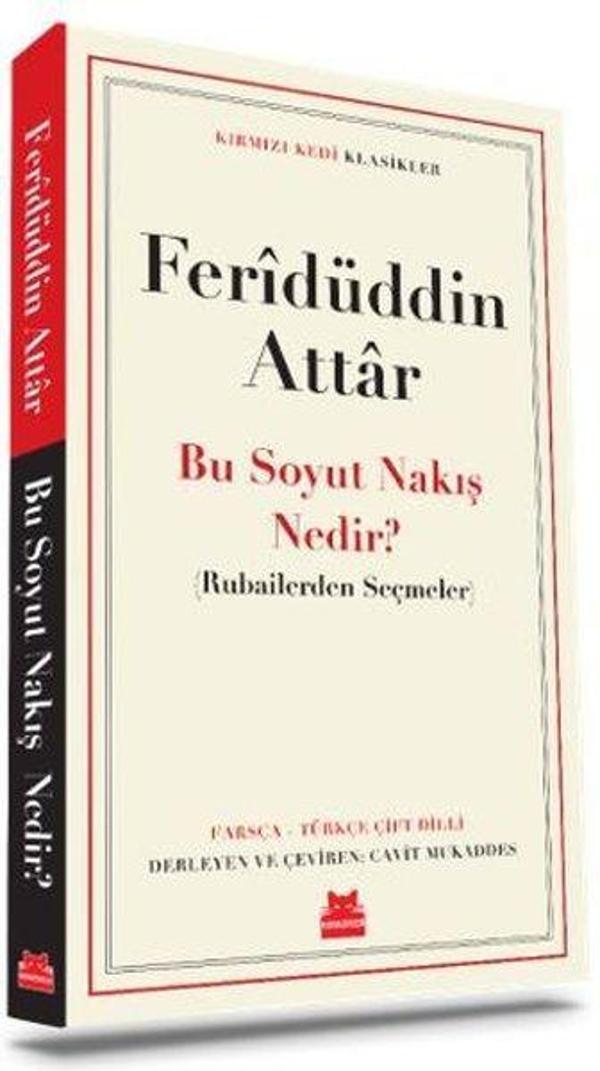 Bu Soyut Nakış Nedir? - Rubailerden Seçmeler - Kırmızı Kedi Klasikler - Kırmızı Kedi Yayınevi - Image 1