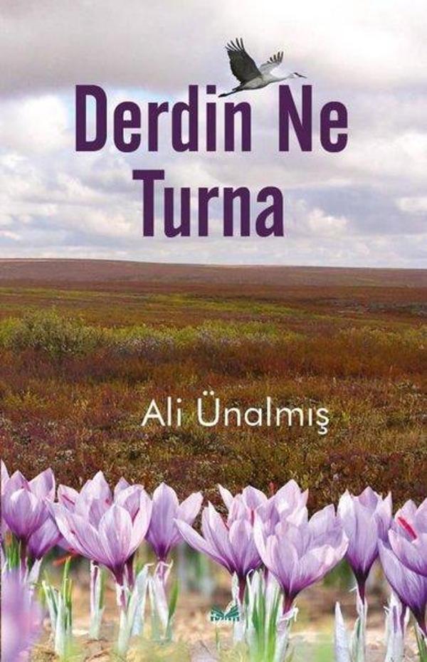 Derdin Ne Turna - İzan Yayıncılık - Image 1