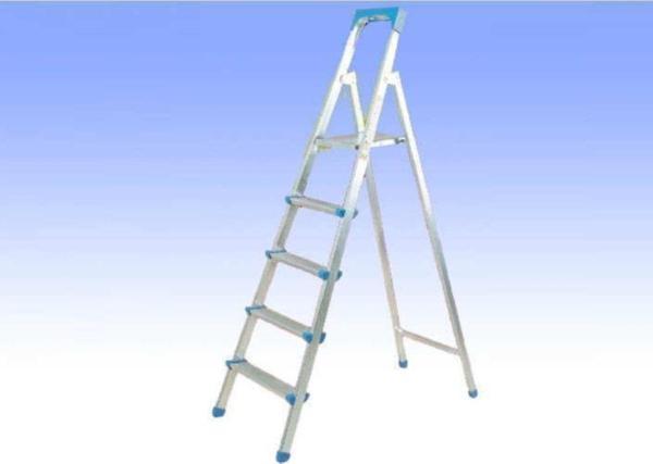 Saraylı Ayaklı Profil Merdiven 3 Basamaklı - Image 1