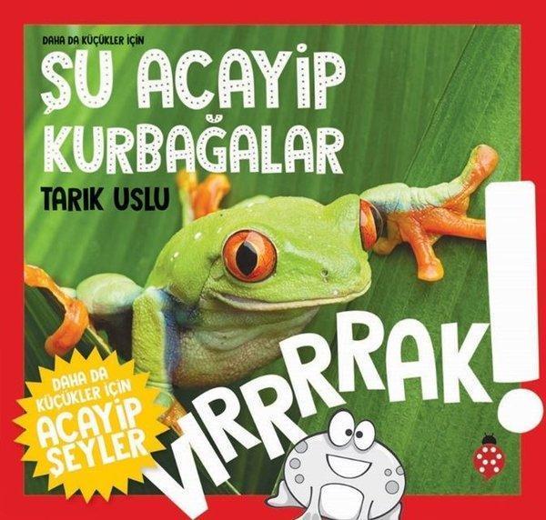 Daha da Küçükler İçin Şu Acayip Kurbağalar - Uğurböceği - Image 1