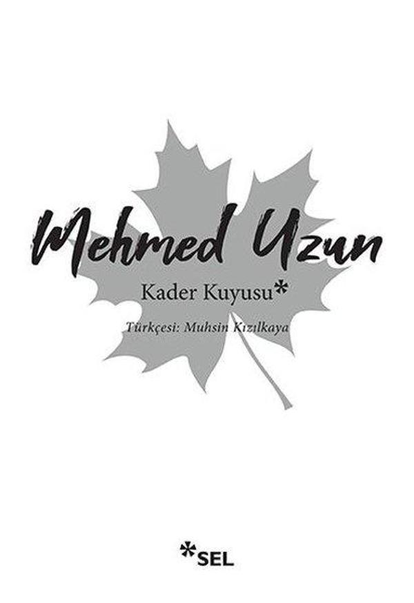 Kader Kuyusu - Sel Yayıncılık - Image 1