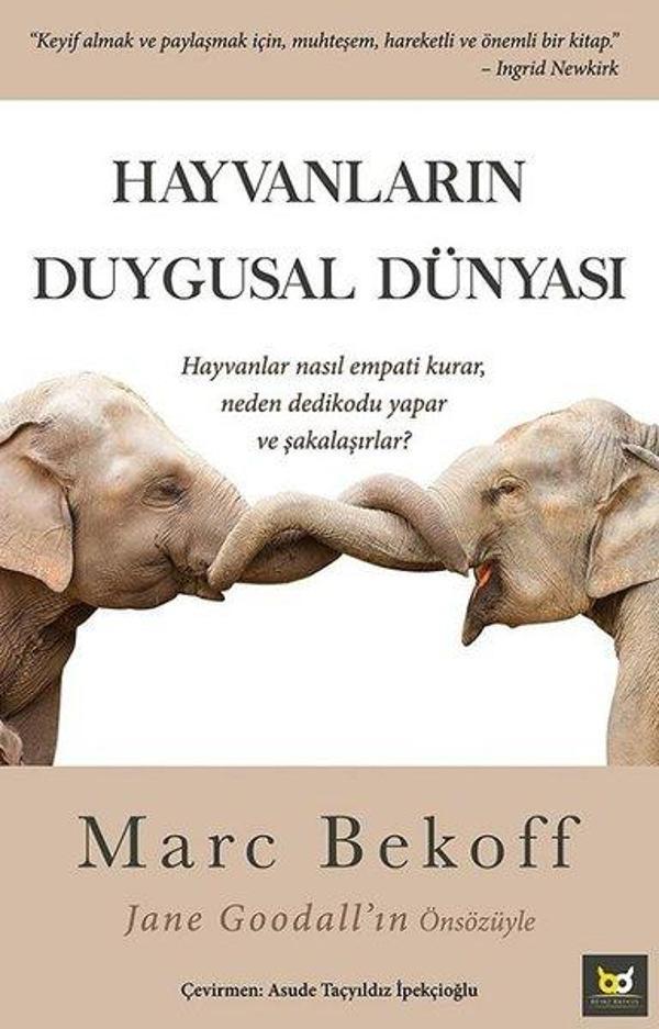 Hayvanların Duygusal Dünyası - Beyaz Baykuş - Image 1