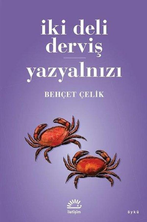 İki Deli Derviş - Yazyalnızı - İletişim Yayınları - Image 1