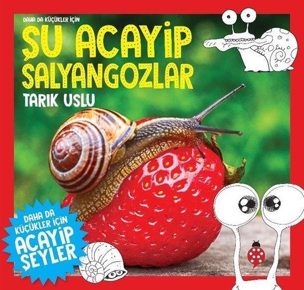 Daha da Küçükler İçin Şu Acayip Salyangozlar - Uğurböceği - Image 1