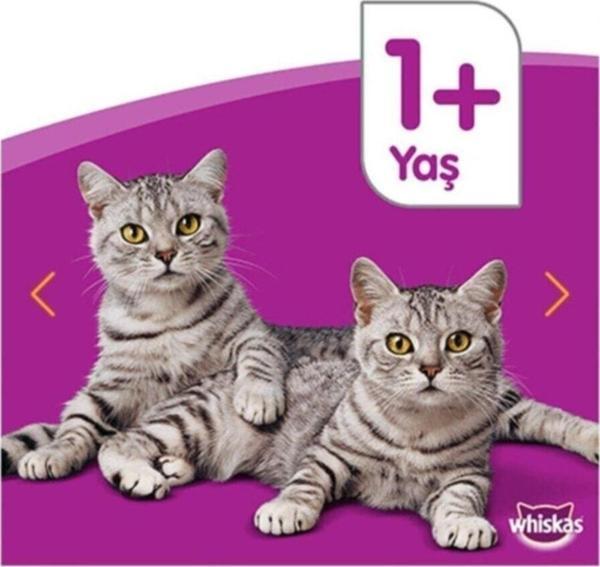 Whiskas Pouch Sığır Etli Kedi Maması 100 Gr X 24 Adet - Image 1