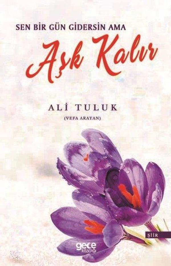 Sen Bir Gün Gidersin Ama Aşk Kalır - Gece Kitaplığı - Image 1