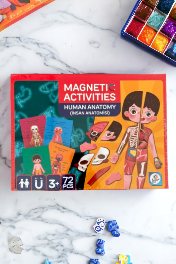 Manyetik İnsan Anatomisi Aktivite Oyun Seti 72 Parça LC8543 - Image 1