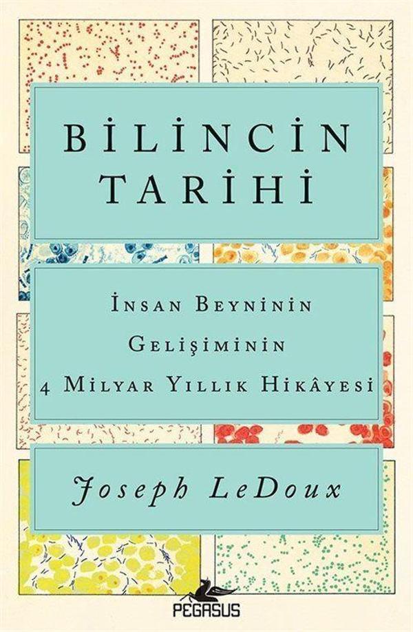 Bilincin Tarihi: İnsan Beyninin Gelişiminin 4 Milyar Yıllık Hikayesi - Pegasus Yayınevi - Image 1