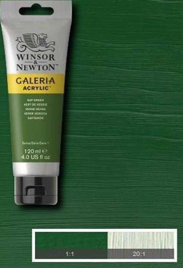 Winsor & Newton Galeria Akrilik Boya 120 ml. 599 Sap Green - Image 1