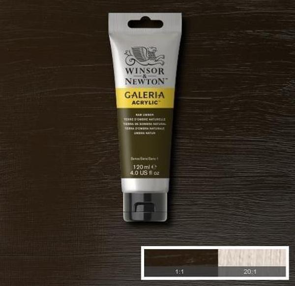 Winsor & Newton Galeria Akrilik Boya 120 ml. 554 Raw Umber - Image 1