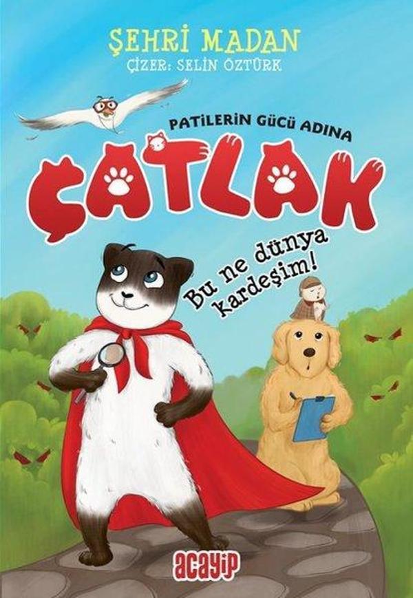 Çatlak! Patilerin Gücü Adına - Bu Ne Dünya Kardeşim - Acayip - Image 1