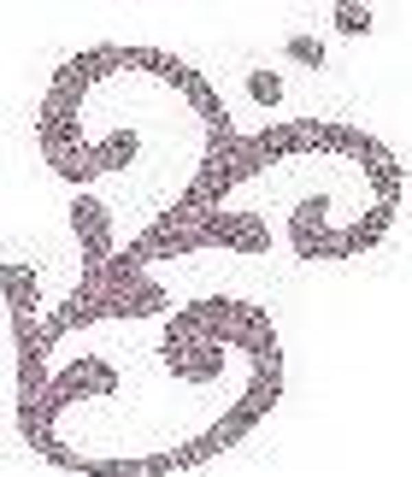 Cadence Simli Boyutlu Boncuk Boya 461 Yakamoz Glitter - Image 1