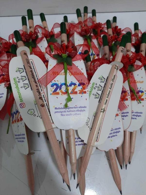 Wi-Fro Kişiye Özel Yılbaşı Hediyesi 30 adet Tohumlu kalem - Image 1