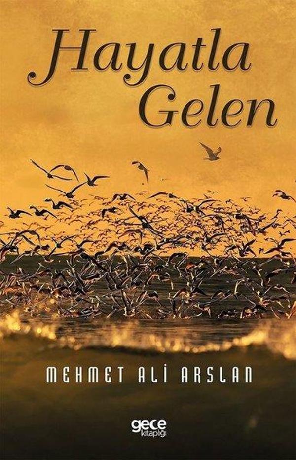 Hayatla Gelen - Gece Kitaplığı - Image 1