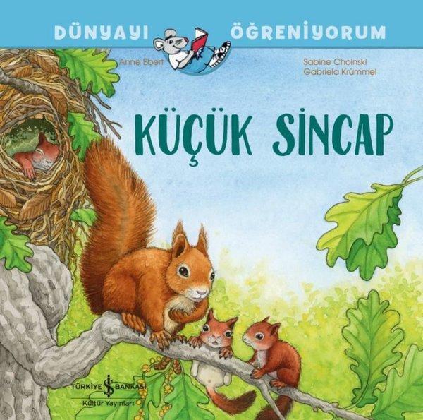 Küçük Sincap - Dünyayı Öğreniyorum - İş Bankası Kültür Yayınları - Image 1