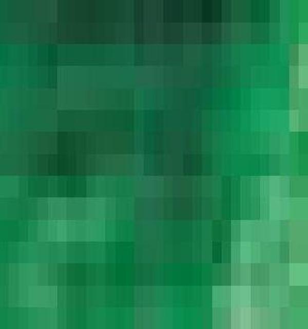 Derwent Artists Kuru Boya Kalemi 4900 Sap Green - Image 1