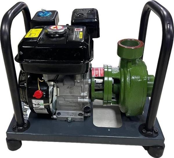 Gardenpro WP-20/140H Yüksek Basınçlı Döküm Pompalı Su Motoru 140 mt 7 Hp - Image 1