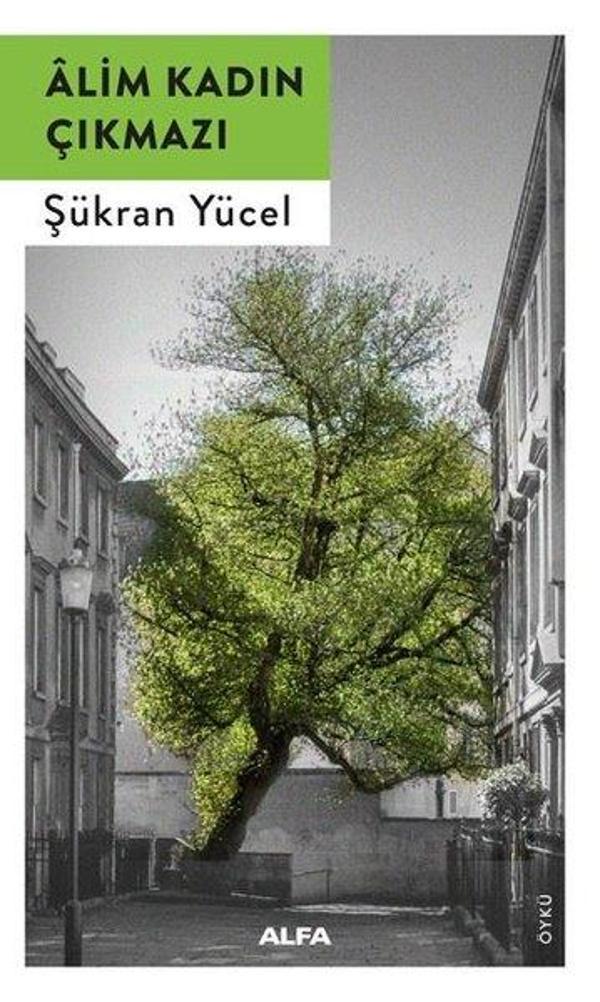 Alim Kadın Çıkmazı - Alfa Yayıncılık - Image 1