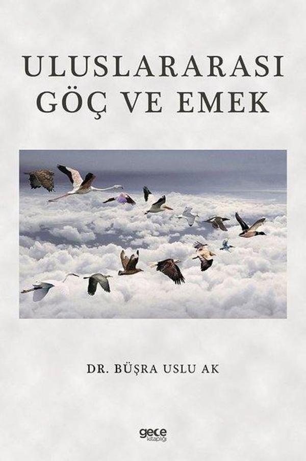 Uluslararası Göç ve Emek - Gece Kitaplığı - Image 1