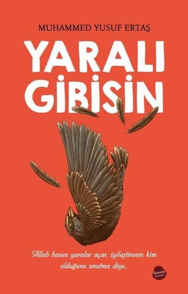 Yaralı Gibisin - Sinada Yayınevi - Image 1