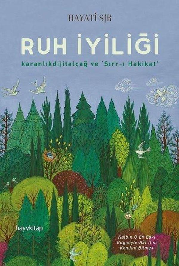 Ruh İyiliği - Hayykitap - Image 1