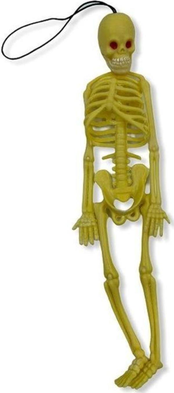 tahtakalehobi Plastik İskelet Modeli - Image 1