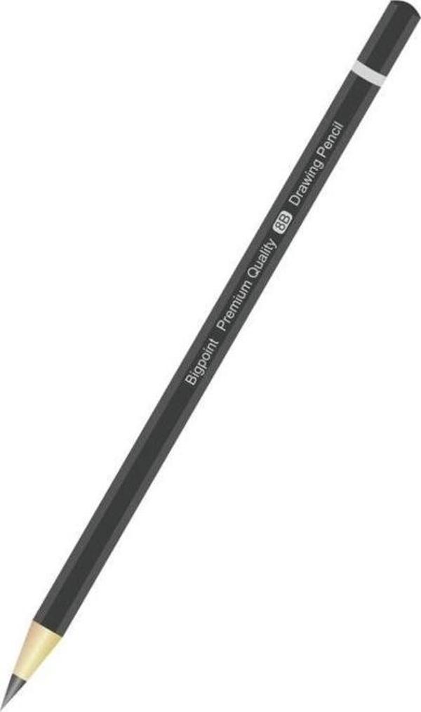 Bigpoint Premium Dereceli Kalem 8B - Image 1