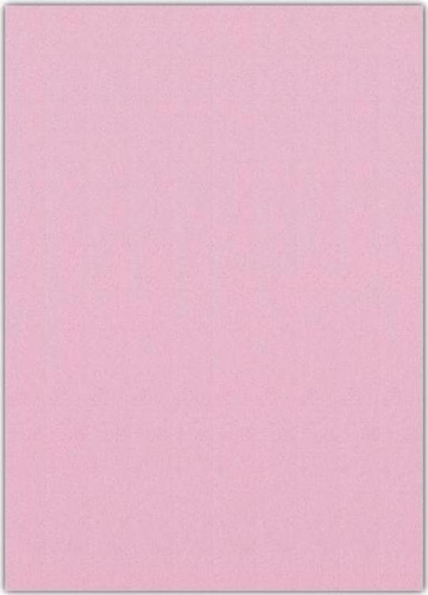 Bigpoint Eva 50x70cm Pembe 10'lu Paket - Image 1