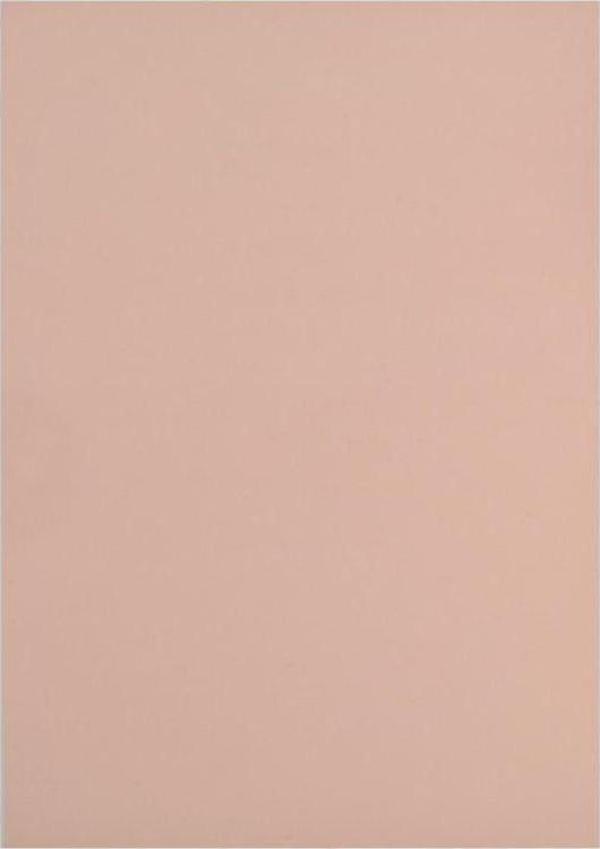 Lino Eva 50x70 cm. 10 Adet TEN RENGİ - Image 1