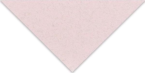 Fabriano Tiziano Çok Amaçlı Kağıt 160 gr. 50x65 cm 10'lu Paket GÜL - ROSA - Image 1