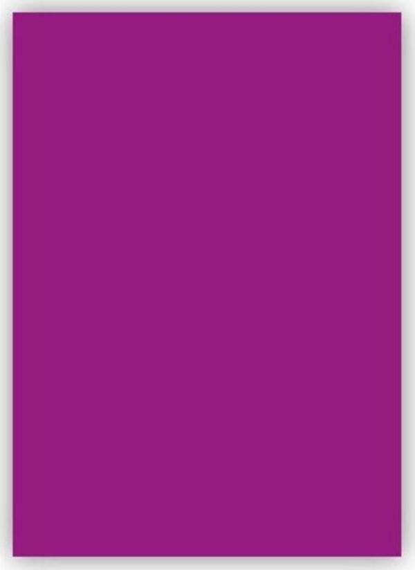 Bigpoint Fon Kartonu 50x70cm 160 Gram Mor 100'lü Paket - Image 1