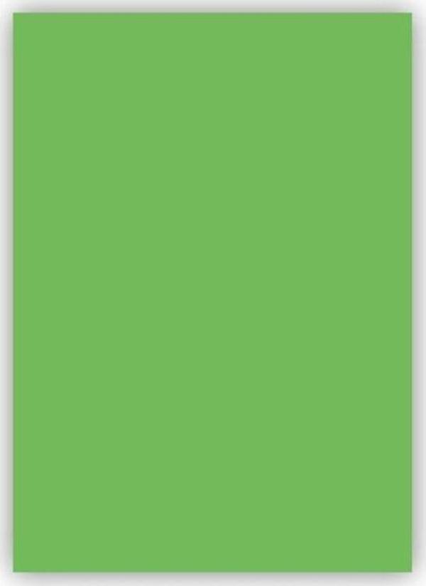 Bigpoint Fon Kartonu 50x70cm 120 Gram Açık Yeşil 100'lü Paket - Image 1