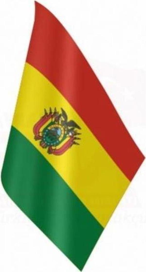 Bolivya Masa Bayrağı - Image 1