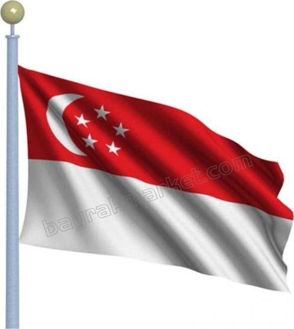Singapur Devleti Gönder Bayrağı 70x105 cm - Image 1