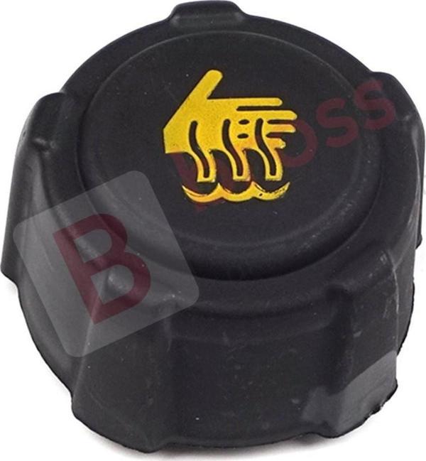 Renault Nissan Citroen Suzuki Opel için Radyatör Genleşme Kabı Kapağı 8200048024 - Image 1