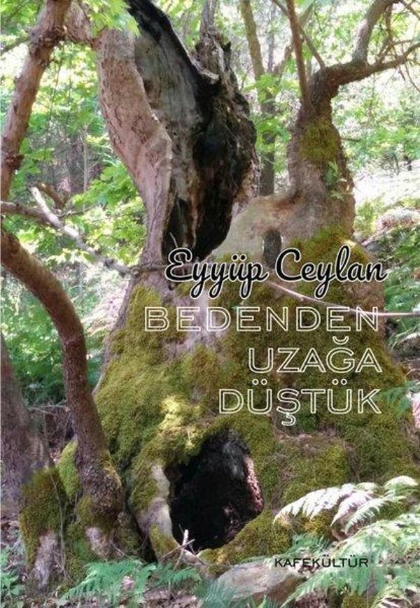 Bedenden Uzağa Düştük - Kafe Kültür Yayıncılık - Image 1