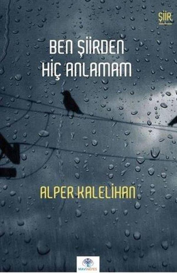 Ben Şiirden Hiç Anlamam - Mavi Nefes - Image 1