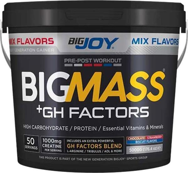 Bigjoy Bigmass Gh Factors Karbonhidrat Tozu 5000gr - Mix Aromalı - Image 1