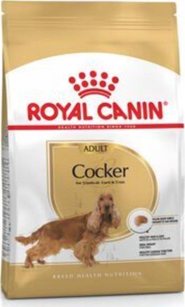 Royal Canin Cocker Adult 3 Kg - Image 1