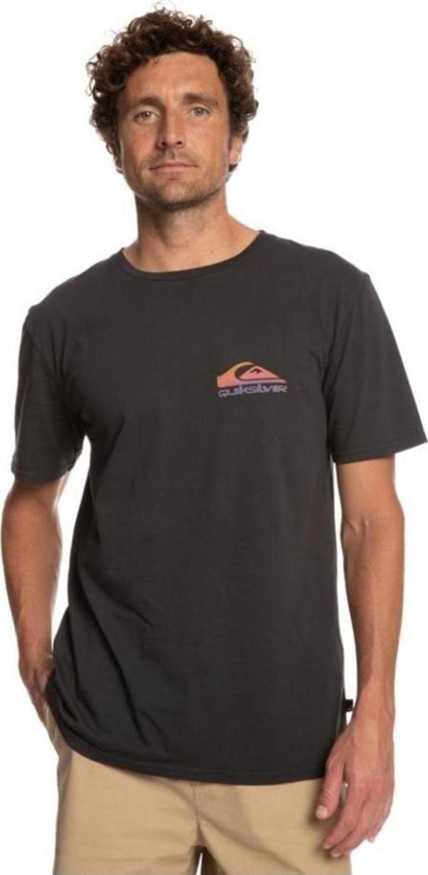 Quiksilver Pastimeparadise Tees Erkek T-Shirt - Image 1