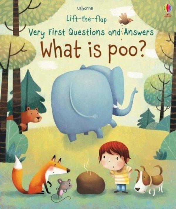 What is Poo? (Very First Lift-the-Flap Questions and Answers) - Usborne - Image 1