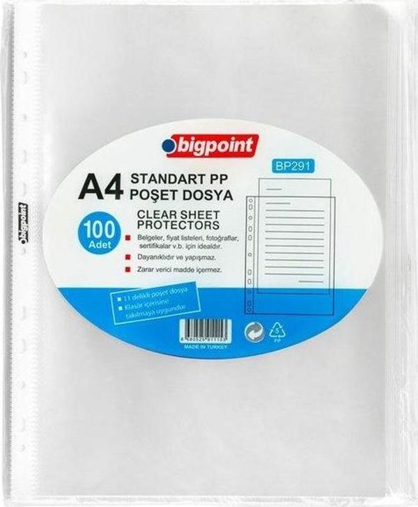 Bigpoint Poşet Dosya Standart 40 Mikron 100'lü Paket BP291 - Image 1