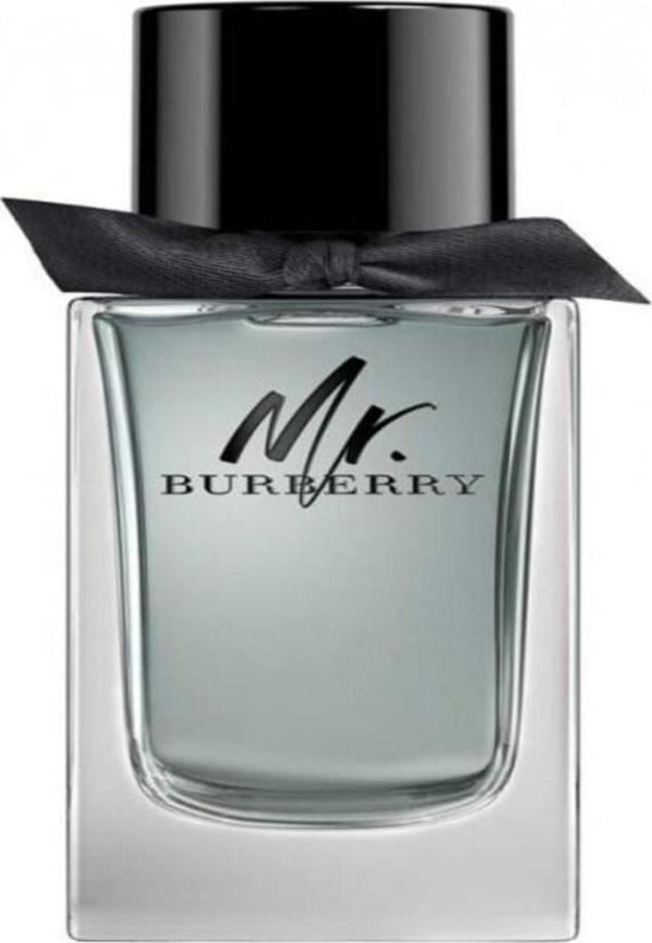Burberry Mr. Burberry EDT 100 ml Erkek Parfüm - Image 1