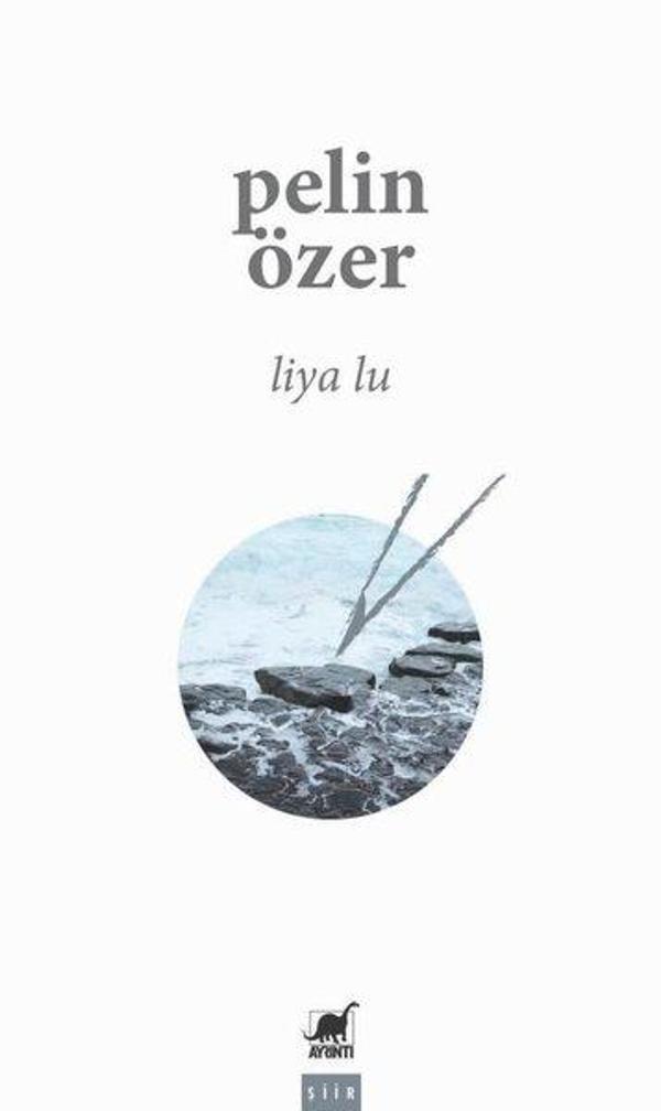 Liya Lu - Ayrıntı Yayınları - Image 1