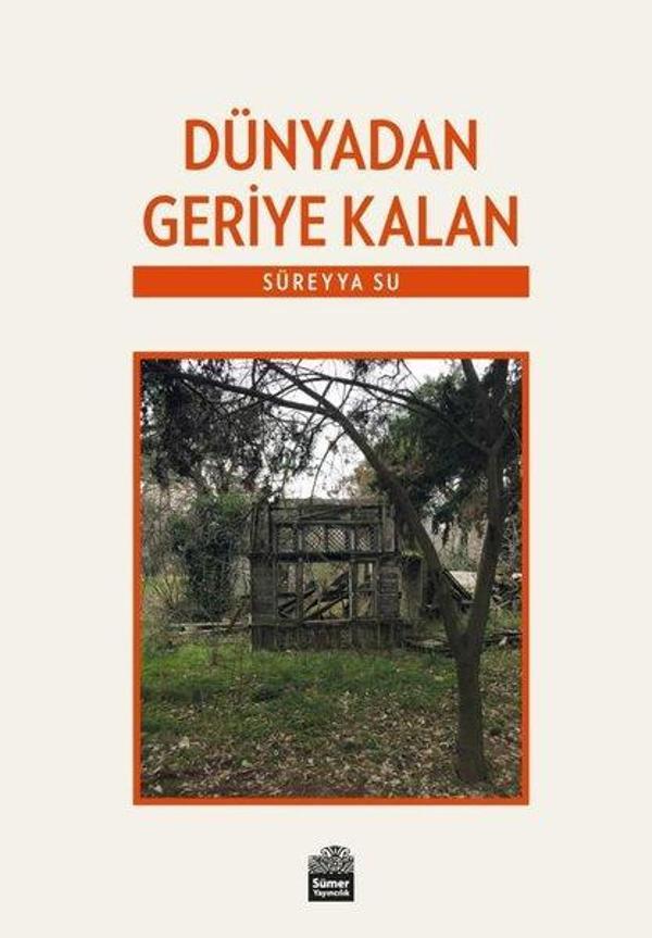 Dünyadan Geriye Kalan - Sümer Yayıncılık - Image 1